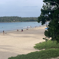 фото из отзыва ID 2311050