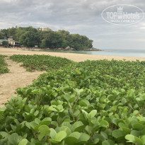 фото из отзыва ID 2311050