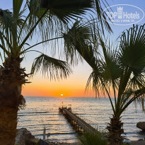 фото из отзыва ID 2311072