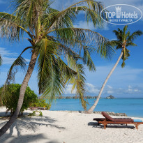 фото из отзыва ID 2311067