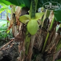 фото из отзыва ID 2311113