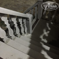 фото из отзыва ID 2311115