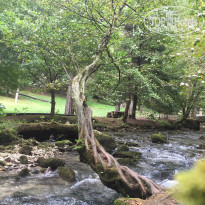 фото из отзыва ID 2311115