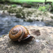 фото из отзыва ID 2311115