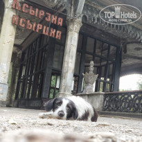 фото из отзыва ID 2311115