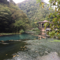 фото из отзыва ID 2311115