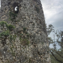 фото из отзыва ID 2311115