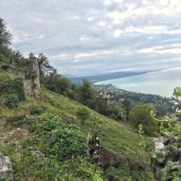 фото из отзыва ID 2311115