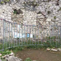 фото из отзыва ID 2311115