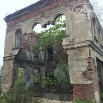 фото из отзыва ID 2311115