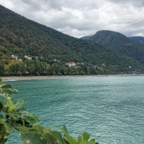 фото из отзыва ID 2311115