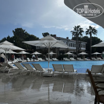 фото из отзыва ID 2311139