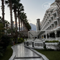 фото из отзыва ID 2311139