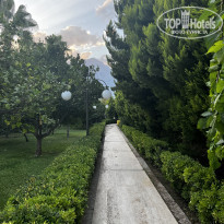 фото из отзыва ID 2311139