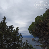 фото из отзыва ID 2311276