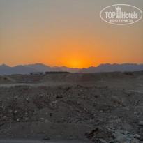 фото из отзыва ID 2311270