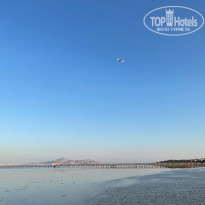 фото из отзыва ID 2311270