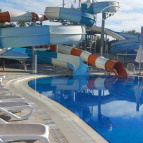 фото из отзыва ID 2311390