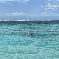 фото из отзыва ID 2311403