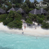 фото из отзыва ID 2311403