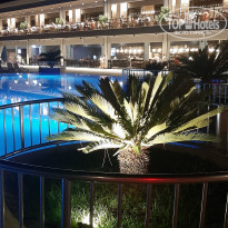 фото из отзыва ID 2311523