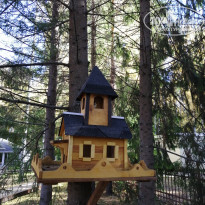 фото из отзыва ID 2311556