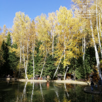 фото из отзыва ID 2311556