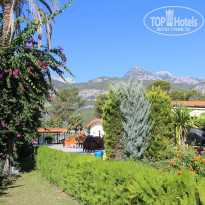 фото из отзыва ID 2311723