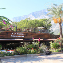 фото из отзыва ID 2311723