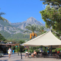 фото из отзыва ID 2311723