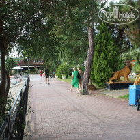 фото из отзыва ID 2311723