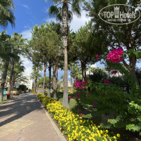 фото из отзыва ID 2311832