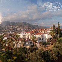 фото из отзыва ID 2311836