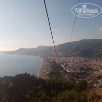 фото из отзыва ID 2311836