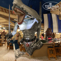 фото из отзыва ID 2311832