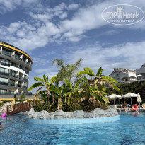 фото из отзыва ID 2311863