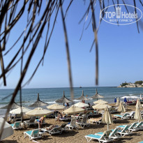 фото из отзыва ID 2311863