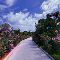 фото из отзыва ID 2311912