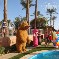 фото из отзыва ID 2311941