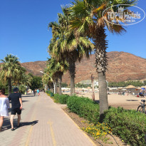 фото из отзыва ID 2312024