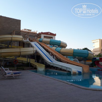 фото из отзыва ID 2312034