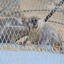 фото из отзыва ID 2312034