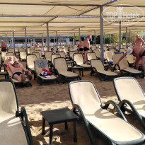 фото из отзыва ID 2312065