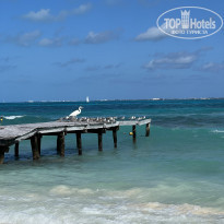 фото из отзыва ID 2312108