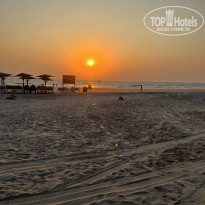 фото из отзыва ID 2312114