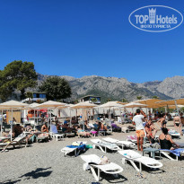 фото из отзыва ID 2312161