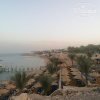 фото из отзыва ID 2312421