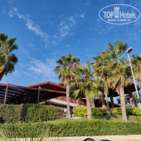 фото из отзыва ID 2312510