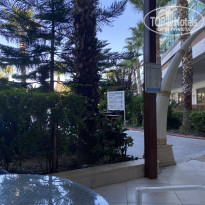 фото из отзыва ID 2312692