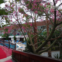 фото из отзыва ID 2312728